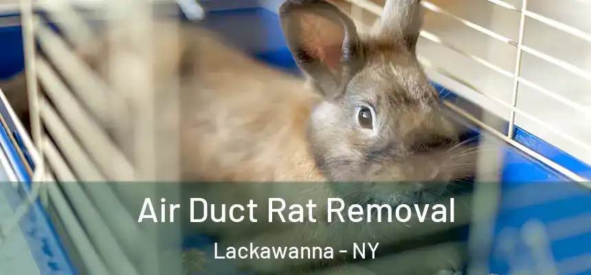  Air Duct Rat Removal Lackawanna - NY