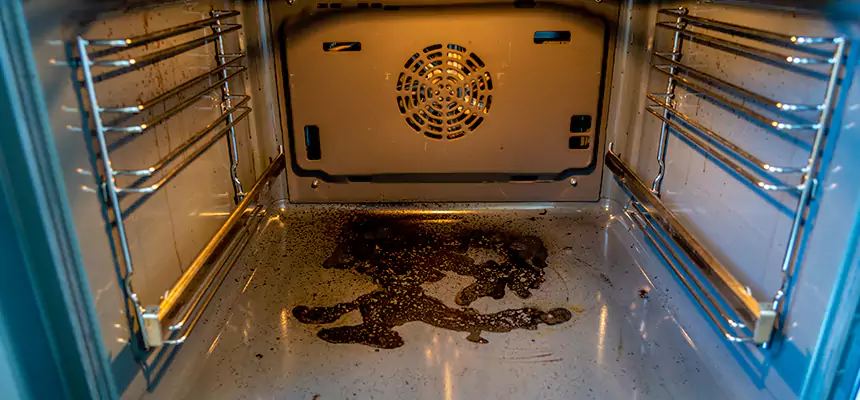 Our Dryer Vent Mold Cleaning Services in Lackawanna, NY