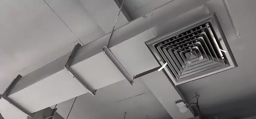 Our Pest Removal From Ducts Services in Lackawanna, NY