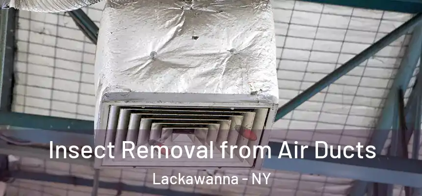  Insect Removal from Air Ducts Lackawanna - NY