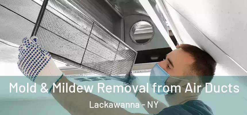  Mold & Mildew Removal from Air Ducts Lackawanna - NY