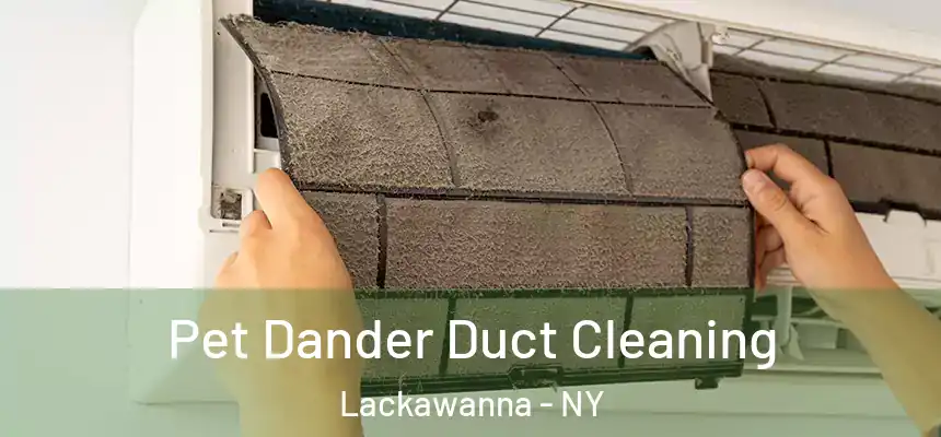  Pet Dander Duct Cleaning Lackawanna - NY