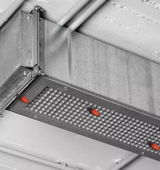 About Air Duct Cockroach Removal in Lackawanna, NY