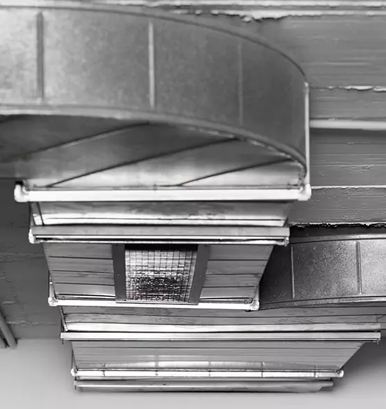 Professional Air Duct Pet Hair Removal in Lackawanna, NY