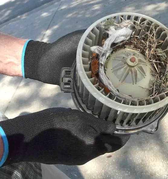 About Air Duct Rat Removal in Lackawanna, NY