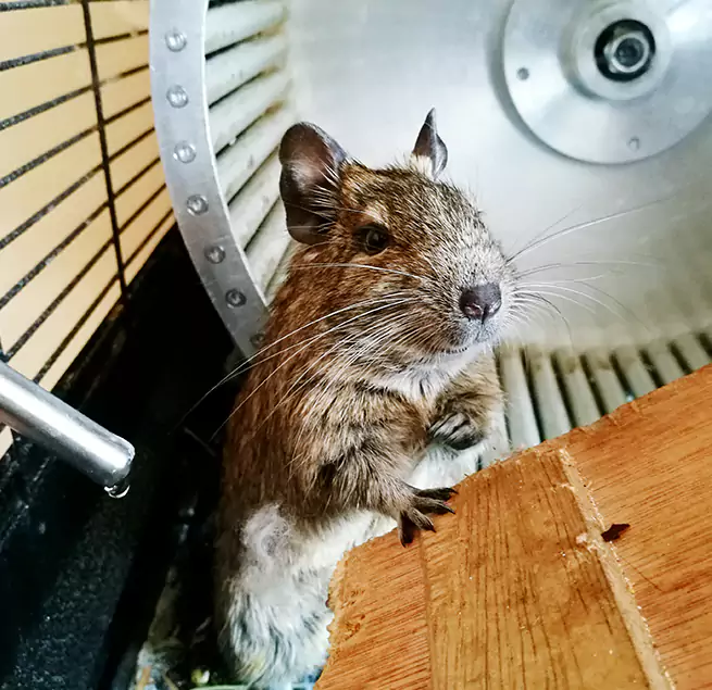 Why Homeowners & Businesses Trust Us Lackawanna, NY