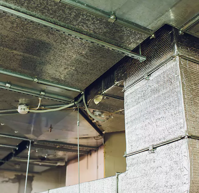 Why Homeowners & Businesses Trust Us in Lackawanna, NY?